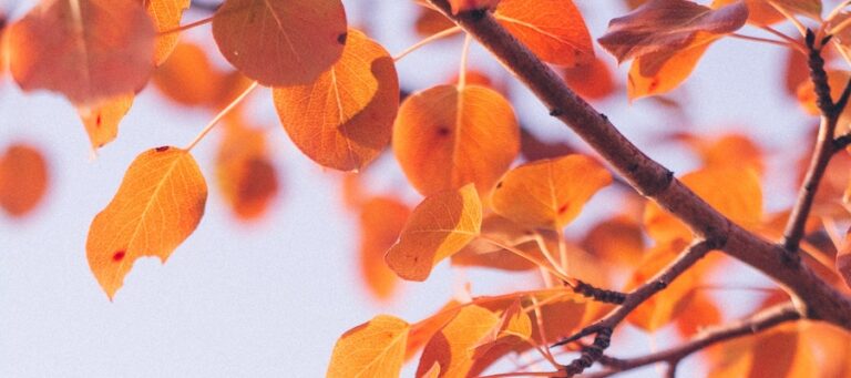 2023-Herbst-Woche-1