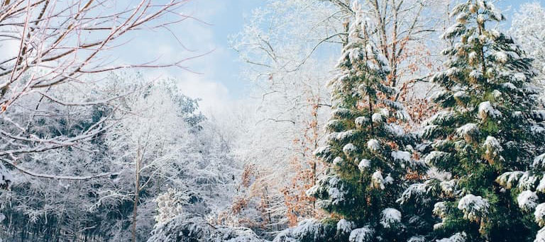 Winter Schnäppchentage